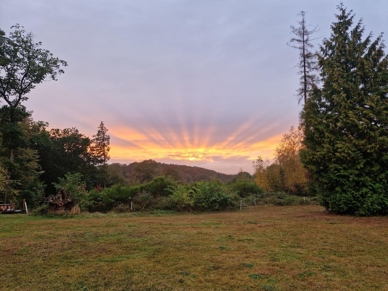 Abendstimmung: Sonnenstrahlen über einer Wiese, links und rechts Bäume