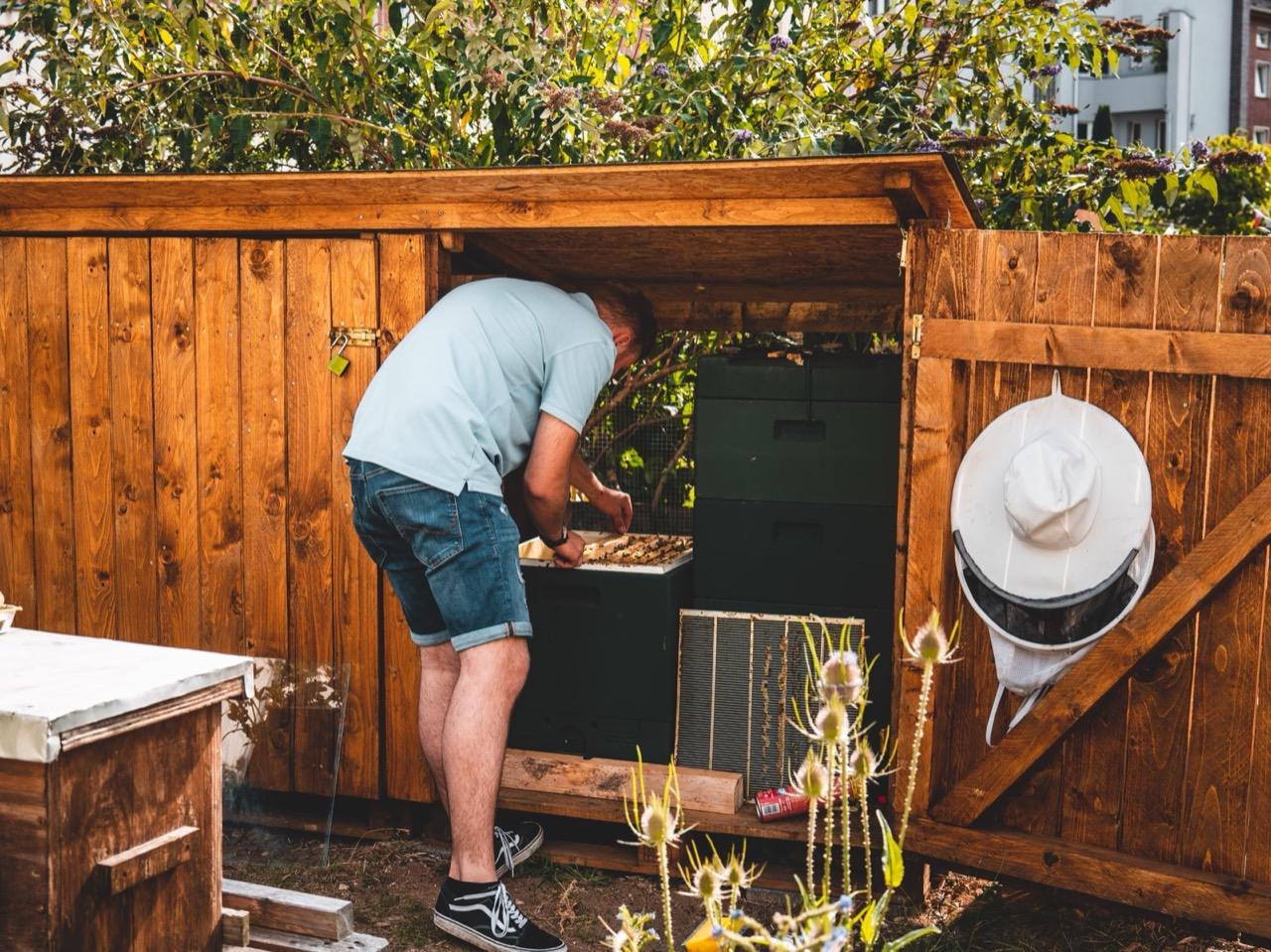 Fabian kontrolliert die Völker im hölzernen Bienenhaus
