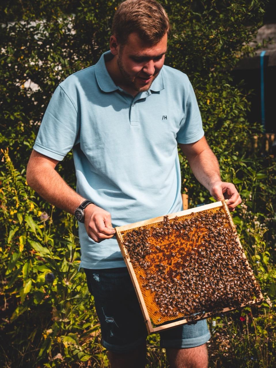 Fabian hält eine voll besetzte Bienenwabe in der Hand